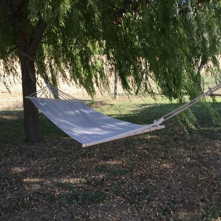 Bauernhof “il Pino Solitario” Monte Giberto