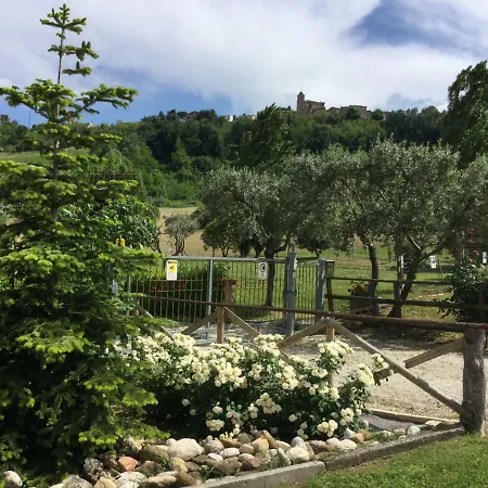 “il Pino Solitario” Monte Giberto