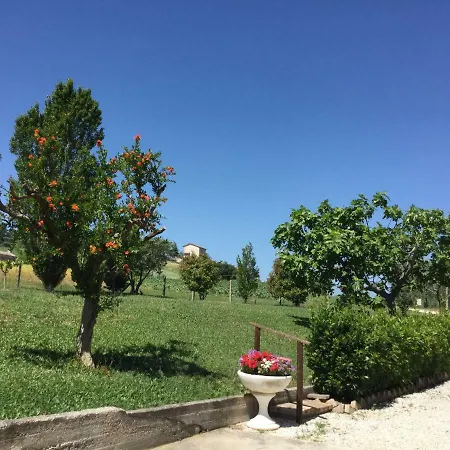 Gospodarstwo agroturystyczne “il Pino Solitario”