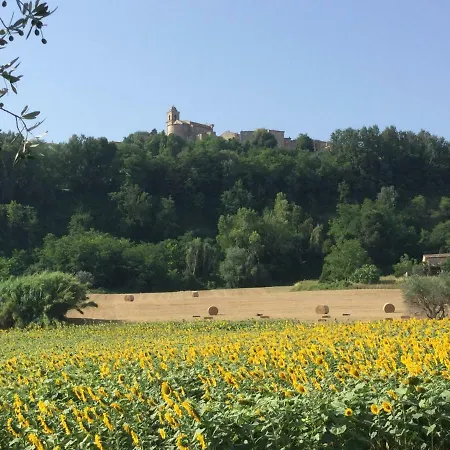“il Pino Solitario”